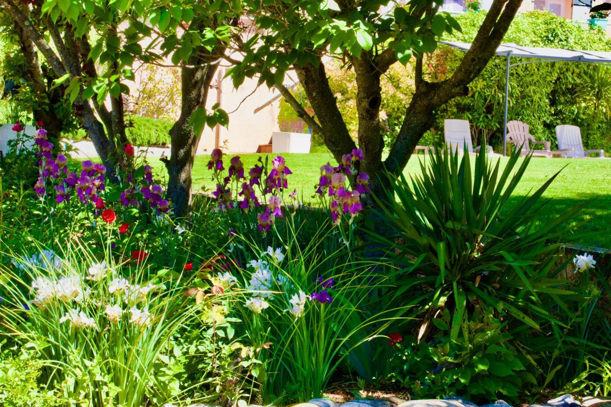 Bed and Breakfast La Bastide Des Roses Saint-Julien-d'Asse Zewnętrze zdjęcie