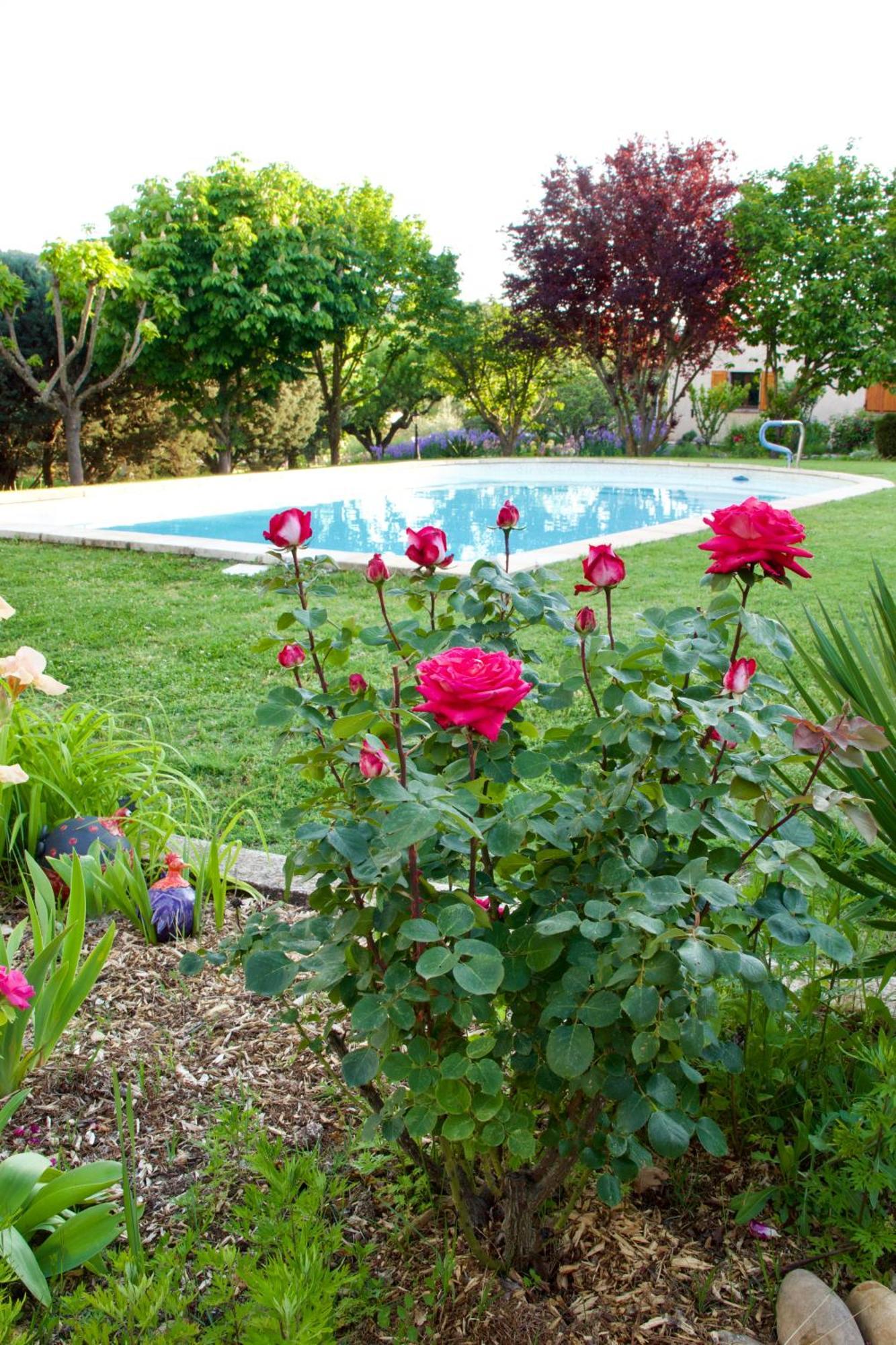 Bed and Breakfast La Bastide Des Roses Saint-Julien-d'Asse Zewnętrze zdjęcie
