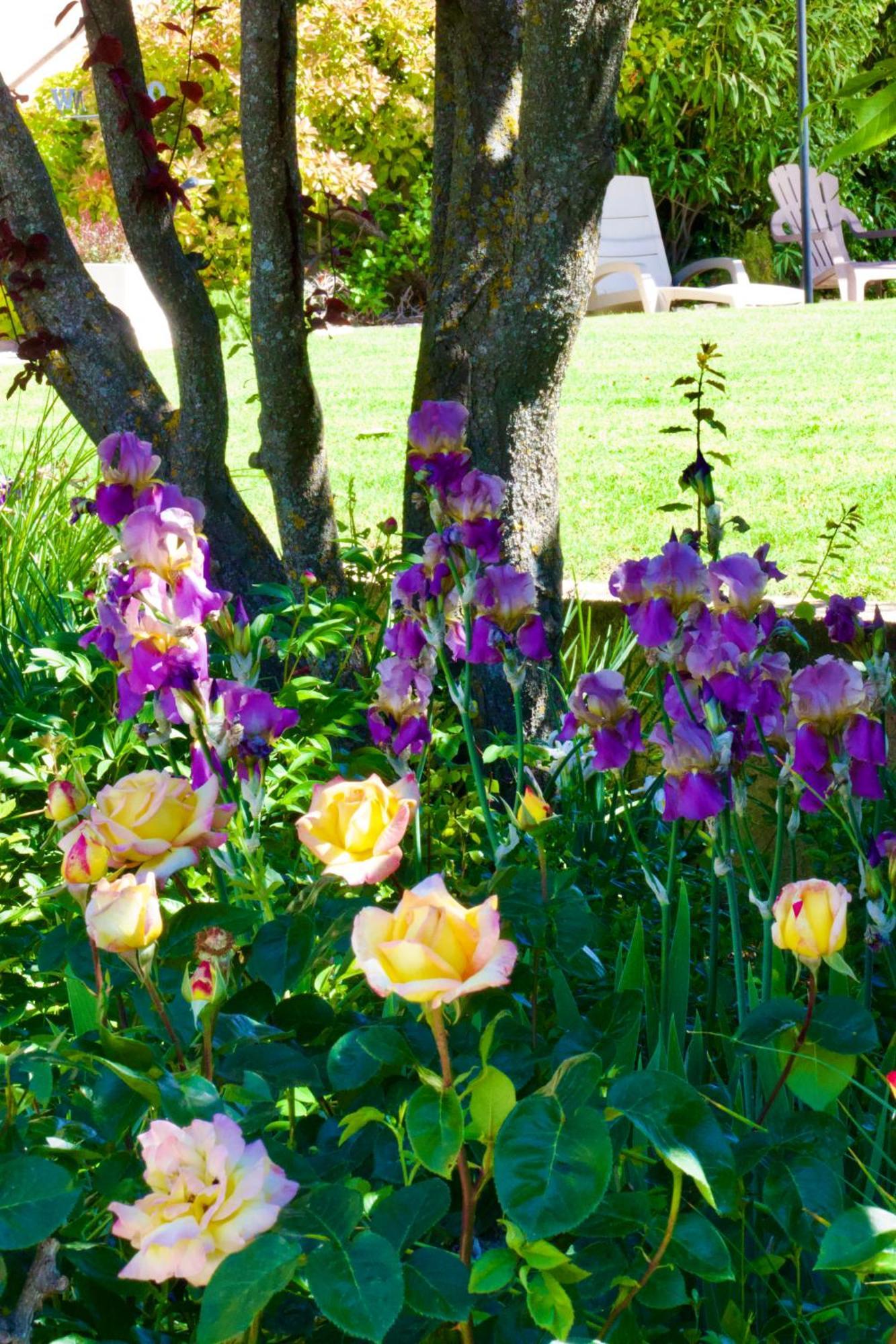 Bed and Breakfast La Bastide Des Roses Saint-Julien-d'Asse Zewnętrze zdjęcie
