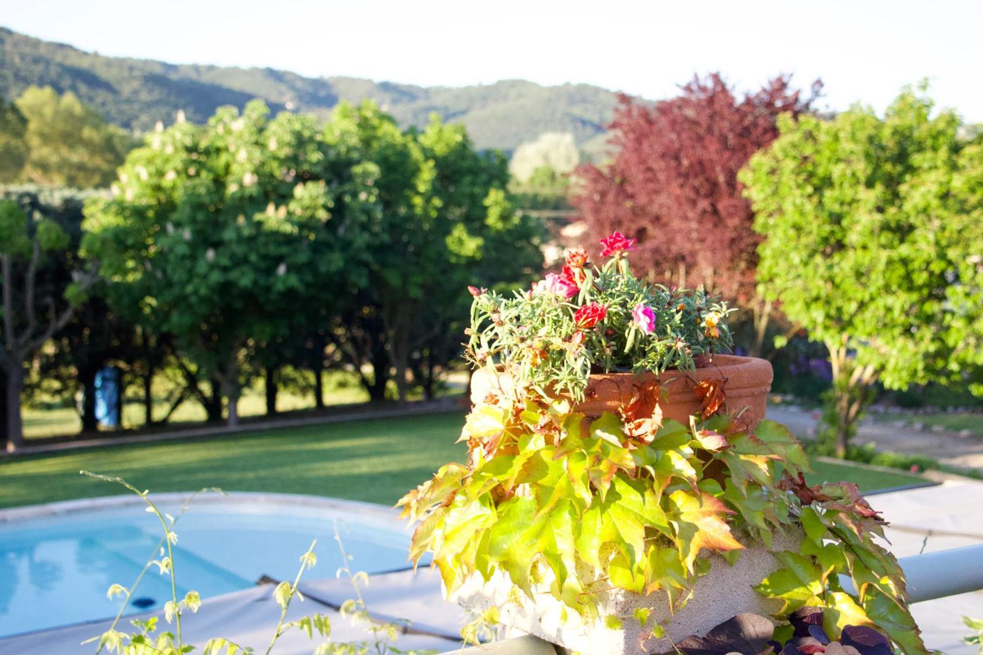Bed and Breakfast La Bastide Des Roses Saint-Julien-d'Asse Zewnętrze zdjęcie